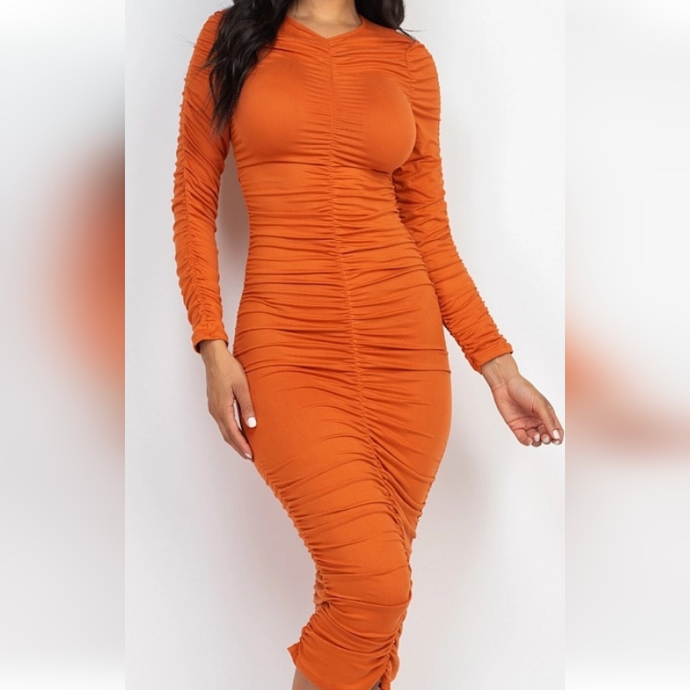 NWT Capella Scrunch Dress